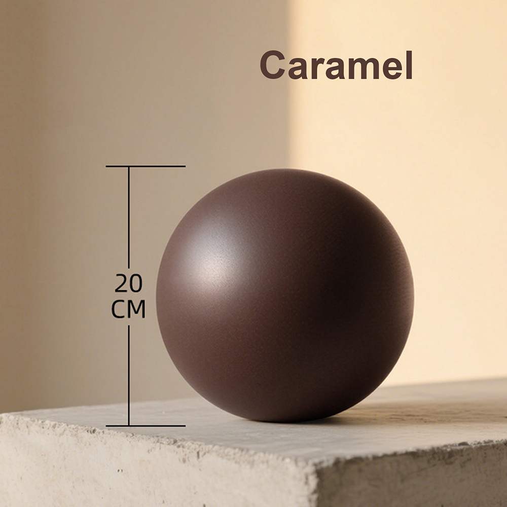 20cm Matte Exercise Ball Barre - đánh giá và giá Pilates Yoga And Barre