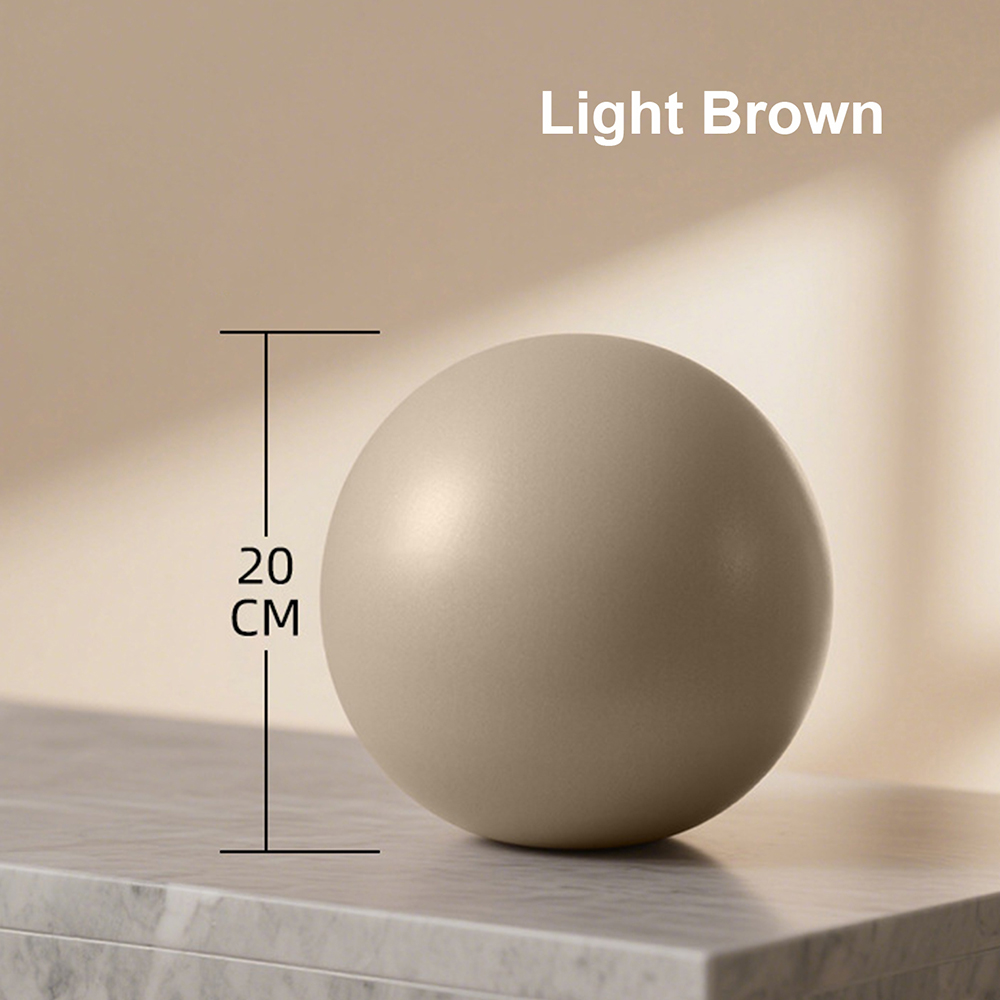 20cm Matte Exercise Ball Barre - đánh giá và giá Pilates Yoga And Barre